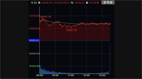AI概念股續旺　台股收漲131點站上16600點