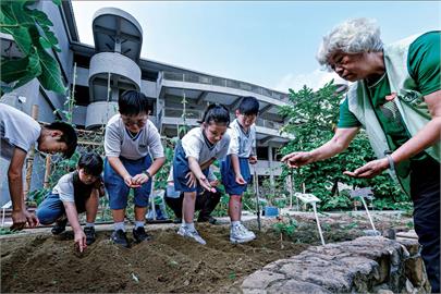 友善低碳校園指標　台南7所國小獲台美生態學校聯盟認證