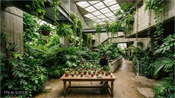 倫敦巴比肯溫室將整修　開放植物迷認養珍稀插條