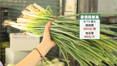 市場均價屢創新高！　香菜一斤680元、蔥一把飆破300元