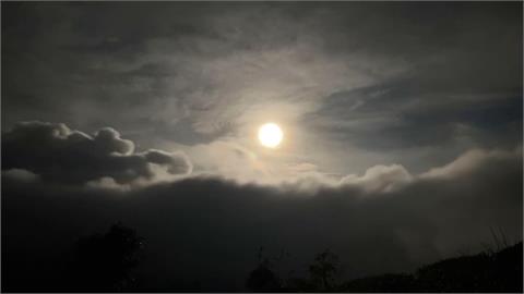 春遊草嶺！　雲嶺之丘賞雲海　翠綠竹林如「武俠電影」