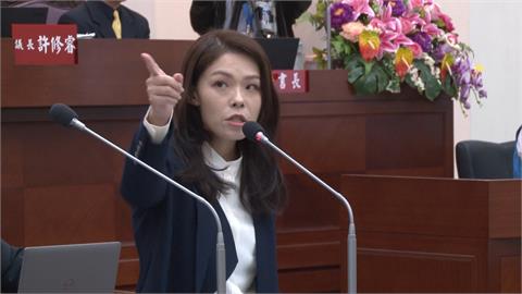 高虹安涉貪案停審、聲請釋憲　綠委：拖時間、能選2026
