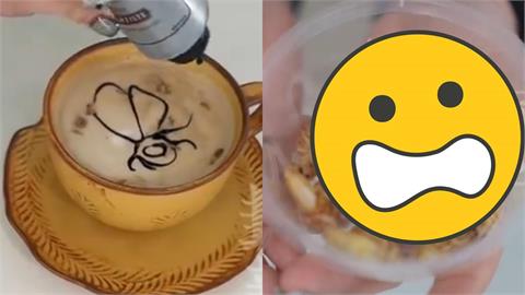 美洲大蠊養殖場推「雙馬尾咖啡」!她連喝2杯「蟑螂醬、蟑螂脆脆」口感曝光