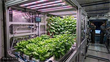 中國太空站打造微重力菜園　連線港澳學生展示成果