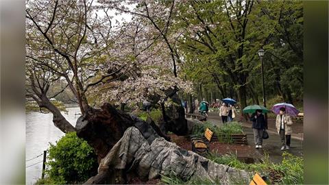 西日本狂風暴雨！　民宅屋頂被掀翻　新幹線一度停駛