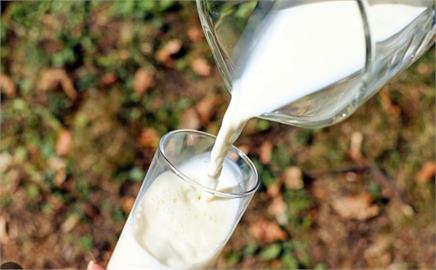快新聞／日本「明治牛奶」遭驗出動物用藥　4萬4000瓶牛奶全面回收
