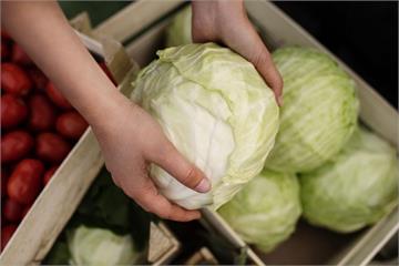 颱風接連重創南台灣！高麗菜1顆400元、豬肉價飆　民眾哀嚎