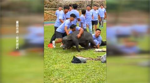 高雄「黑米祭」狩獵活動部分行為遭指殘忍　原民會：沒虐待動物