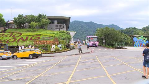 夏日新玩法！　搭貓空纜車上山泡茶、吃冰