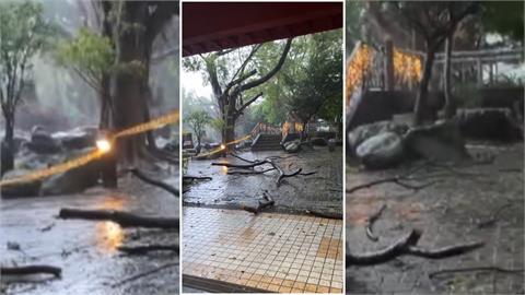 擎天崗三日累積雨量破千毫米　文化大學狂吹9級強陣風