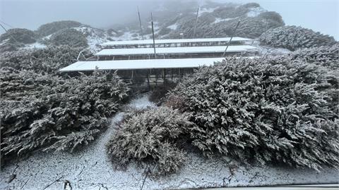 快新聞／玉山今晨下雪累積0.7公分　銀白畫面美翻