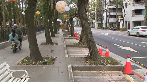 台灣燈會周邊部分路段禁停車　附近居民沒得停怨：配套措施呢？