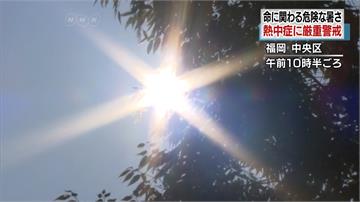 日本京都連6天破38度 打破觀測史紀錄