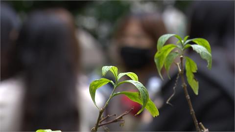 北市某大學助教爆言語騷擾！　申訴不成立女同學淚訴是「慣犯」