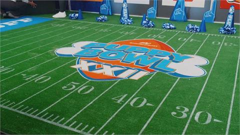 小狗超級盃即將開打　150隻幼犬競賽賣萌好吸睛