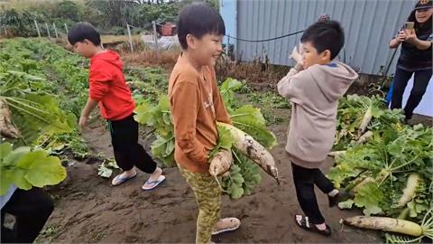 畢旅的錢自己賺！竹安國小「種蘿蔔」學生笑開懷