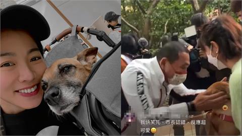 昔「叫錯名」成經典迷因！米可白愛犬「錢錢」罹胃癌　侯友宜暖心發聲了