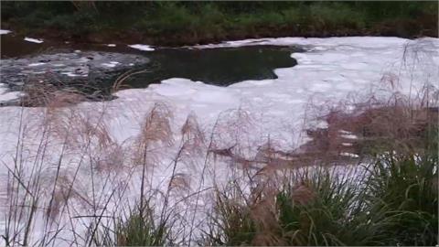 快新聞／又來？基隆暖暖溪再現大量不明泡沫　工作人員急下水拉攔油索