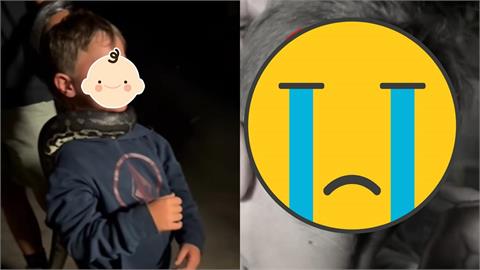 慎入/澳洲網紅家族夜覽動物園出事!7歲兒突「遭蟒蛇咬破頭」恐怖瞬間曝光