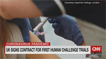 英國推動人類挑戰計畫 讓受試者刻意染病 加速疫苗研發