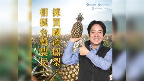 快新聞／「鳳梨外交」展現台日情誼　賴清德：感謝日本友人支持