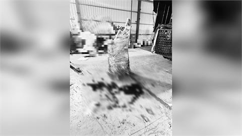 快新聞／五股19歲男遭「水晶洞」重砸不治　新北勞檢處：勒令停工