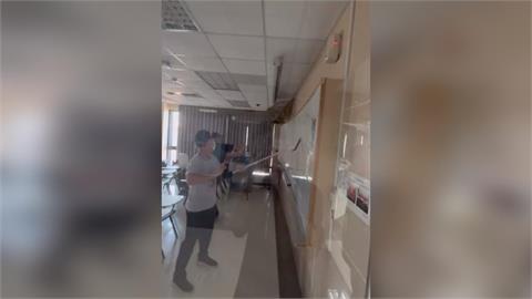 文化大學也有猴子入侵! 教室亂竄 保全捉捕後放生