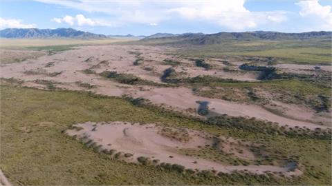 地球暖化翻轉生態！西伯利亞乾旱沙丘竟綠化
