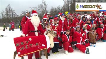 日本各地瘋耶誕！百名遊客變身滑雪耶誕老人