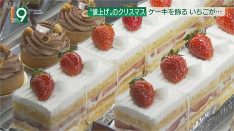 日本草莓豐收季　「草莓巡守隊」嚇阻小偷