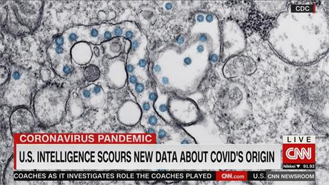 解開武肺病毒起源　CNN：美情報機構取得基因數據庫