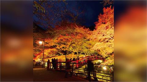 日本「文化日」3天連假  各地迎來楓紅美景