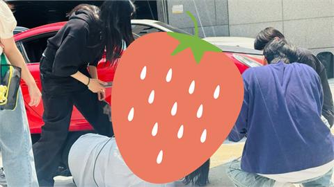 後面有車！河智苑「趴馬路倒出猛料」超扯狀態被捕捉…網嚇爛：太厲害