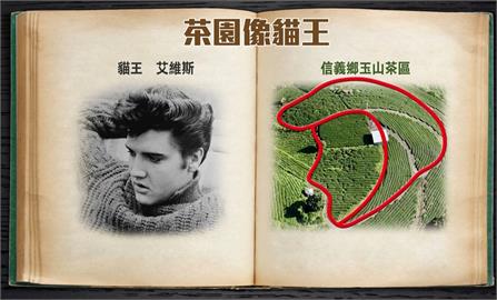 巧合!?南投茶園地貌上帝視角曝光 竟撞臉傳奇歌手「貓王」