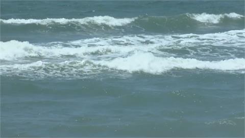 美國北卡州海灘冒大量毒水母　戲水民眾遭螫傷
