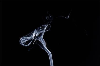 加熱菸解禁!兩業者十四品項有條件通過