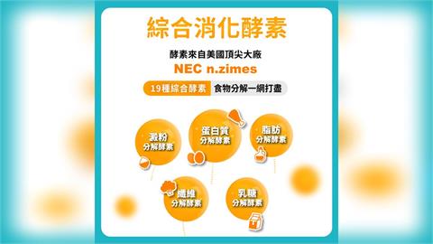 端午粽子旺季將至　醫師推薦益生菌加酵素、提醒留意消化不良