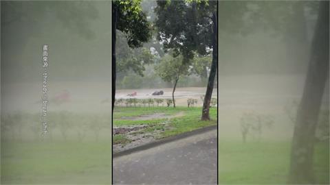 雨彈強襲！正值期末考周　屏科大學生騎車慘摔被沖走