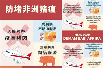 非洲豬瘟病毒凍千天不死 台北勞動局提醒:肉鬆肉粽攜入境重罰