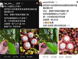 小心詐騙！社群瘋傳農試所賣水果　官方澄清從未有販售行為