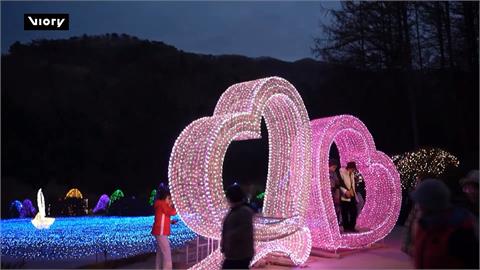 南韓加平「晨靜樹木園」燈光節閉幕　七彩LED燈點綴超夢幻