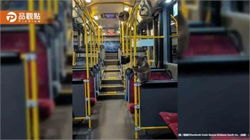 公車上竟然有無尾熊！緊抓把手一起搭車超萌