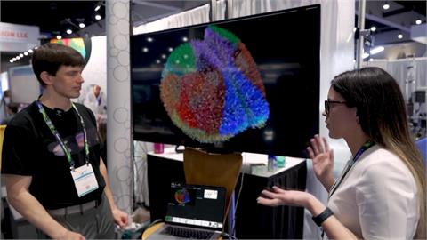 重大突破！　美科學家研發「小鼠大腦」　近千萬神經元打造　研究團隊首公開模型