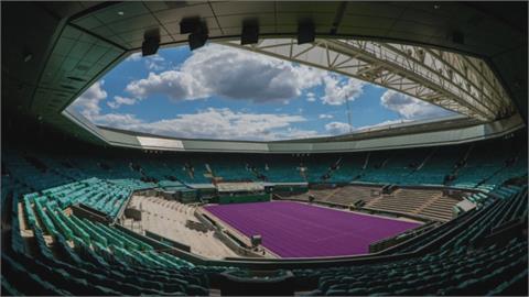 溫布頓網球賽變裝 紫色草皮令人驚豔