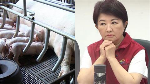 快新聞／誰下令的？中市府「偷偷清消」害無法採樣　台中綠議員嗆：疫情豬隊友