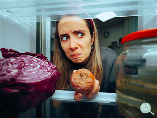 每個美國人每年丟棄約73公斤食物!報告指出忙碌生活讓冰箱變垃圾桶