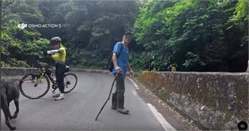 5隻狗未牽繩衝車道！女騎士急閃重摔　飼主沒道歉嗆：看到狗本來就該閃