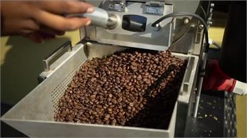 修復莫三比克雨林 專家引農民種咖啡