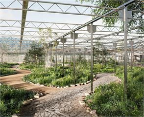 從香草料理到風味體驗　日本大多喜植物苑用「吃」拉近人與植物距離