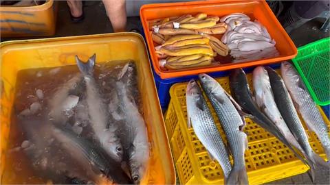 要買要快！東北季風增強　烏魚季進入尾聲
